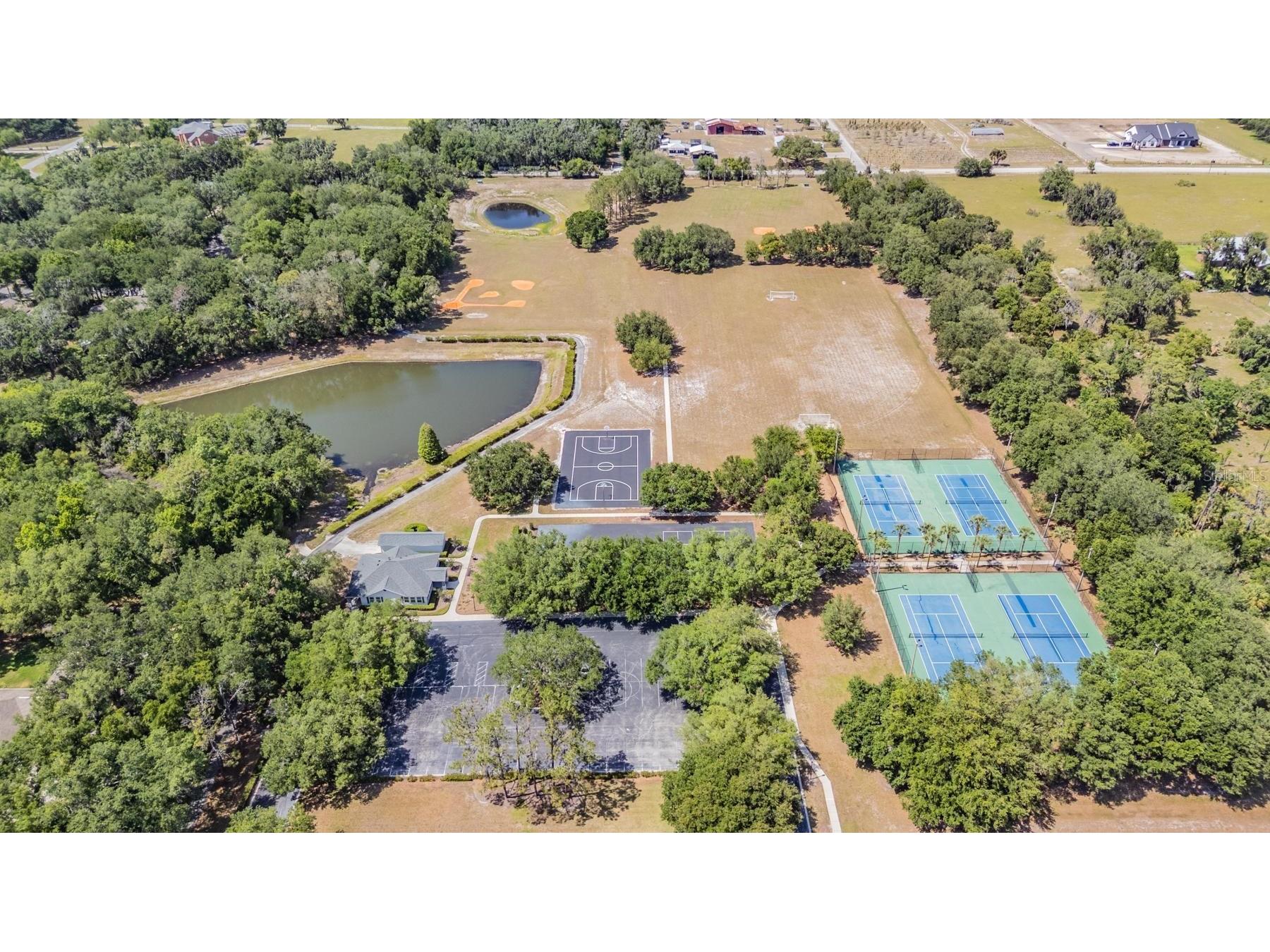 6004 Hammock Hill Avenue Lithia FL 33547 TB8502592 image69