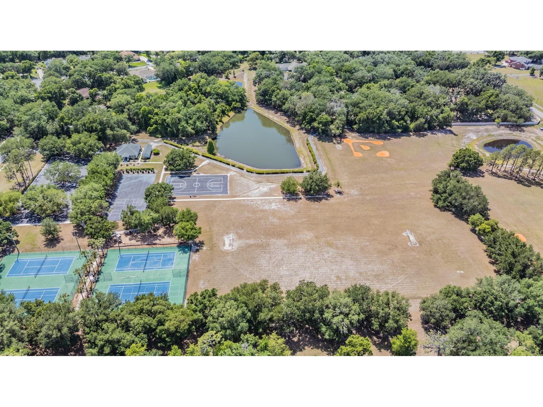 6004 Hammock Hill Avenue Lithia FL 33547 TB8502592 image71