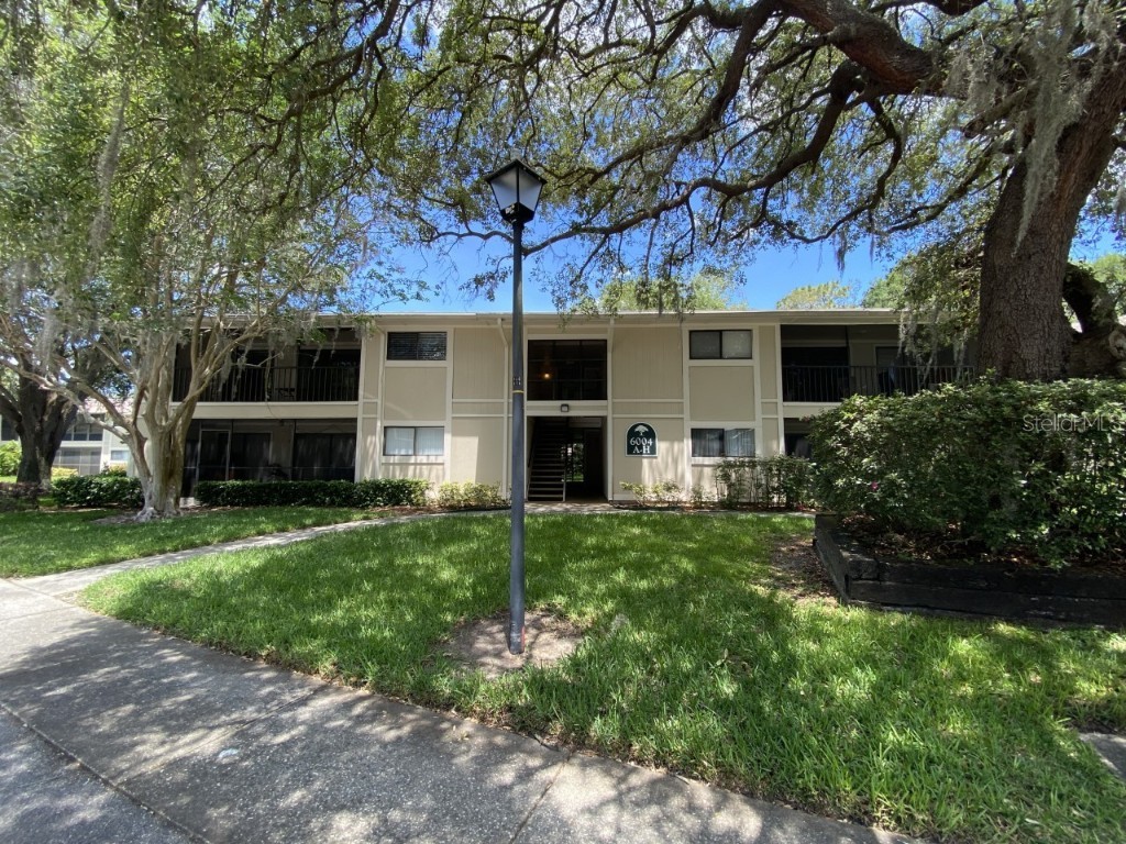 6004 Laketree Lane #B Temple Terrace FL 33617 T3445005 image1