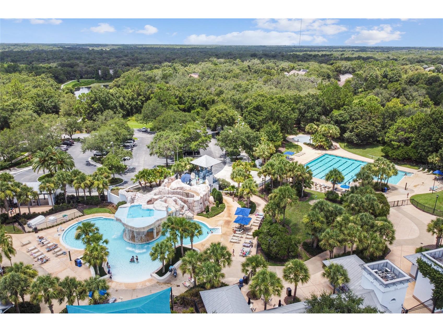 6004 Merlinwood Drive Lithia FL 33547 TB8506155 image41