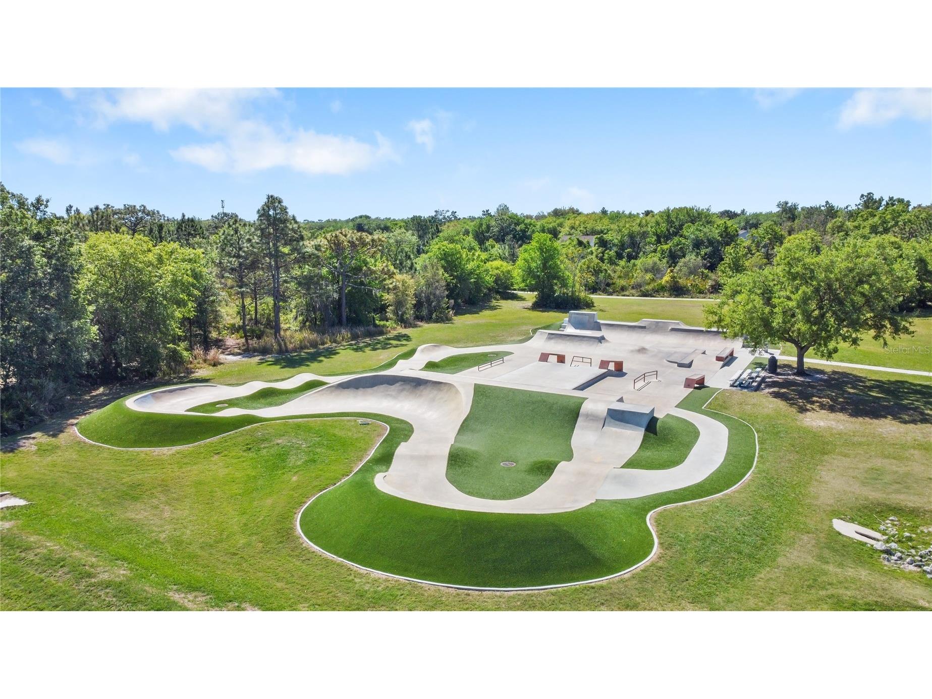 6004 Merlinwood Drive Lithia FL 33547 TB8506155 image43