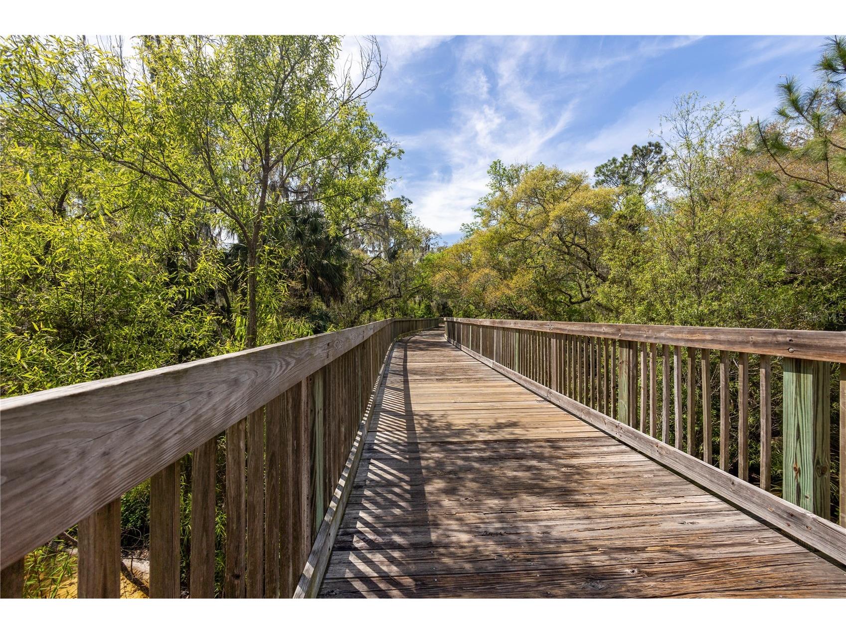 6004 Merlinwood Drive Lithia FL 33547 TB8506155 image45