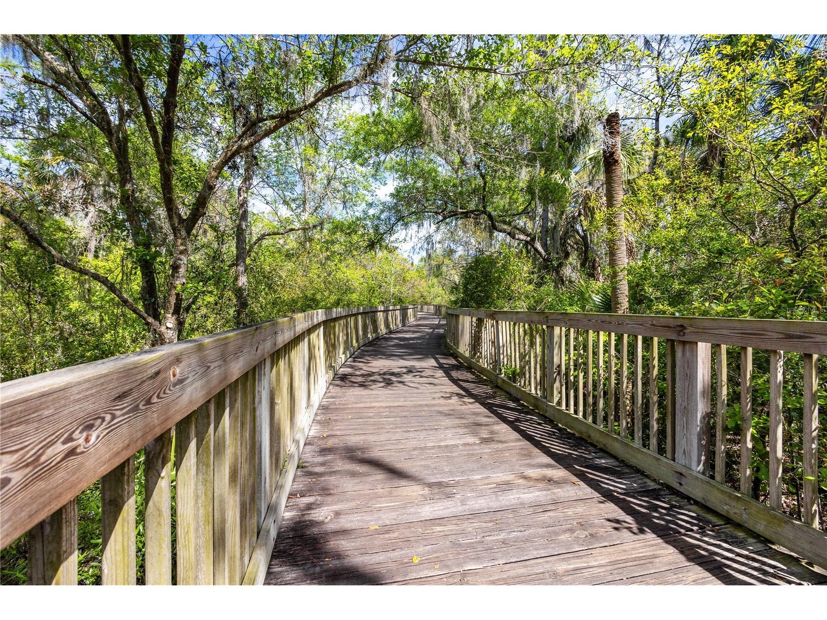 6004 Merlinwood Drive Lithia FL 33547 TB8506155 image46