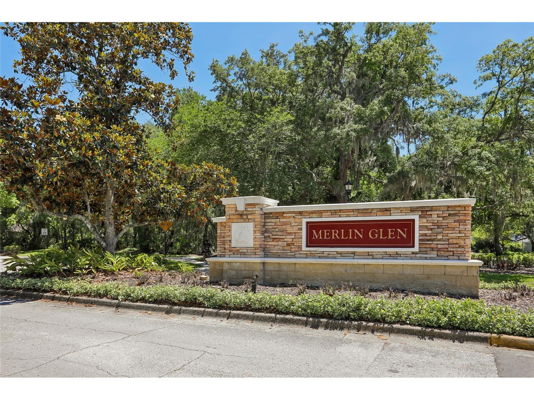 6004 Merlinwood Drive Lithia FL 33547 TB8506155 image47