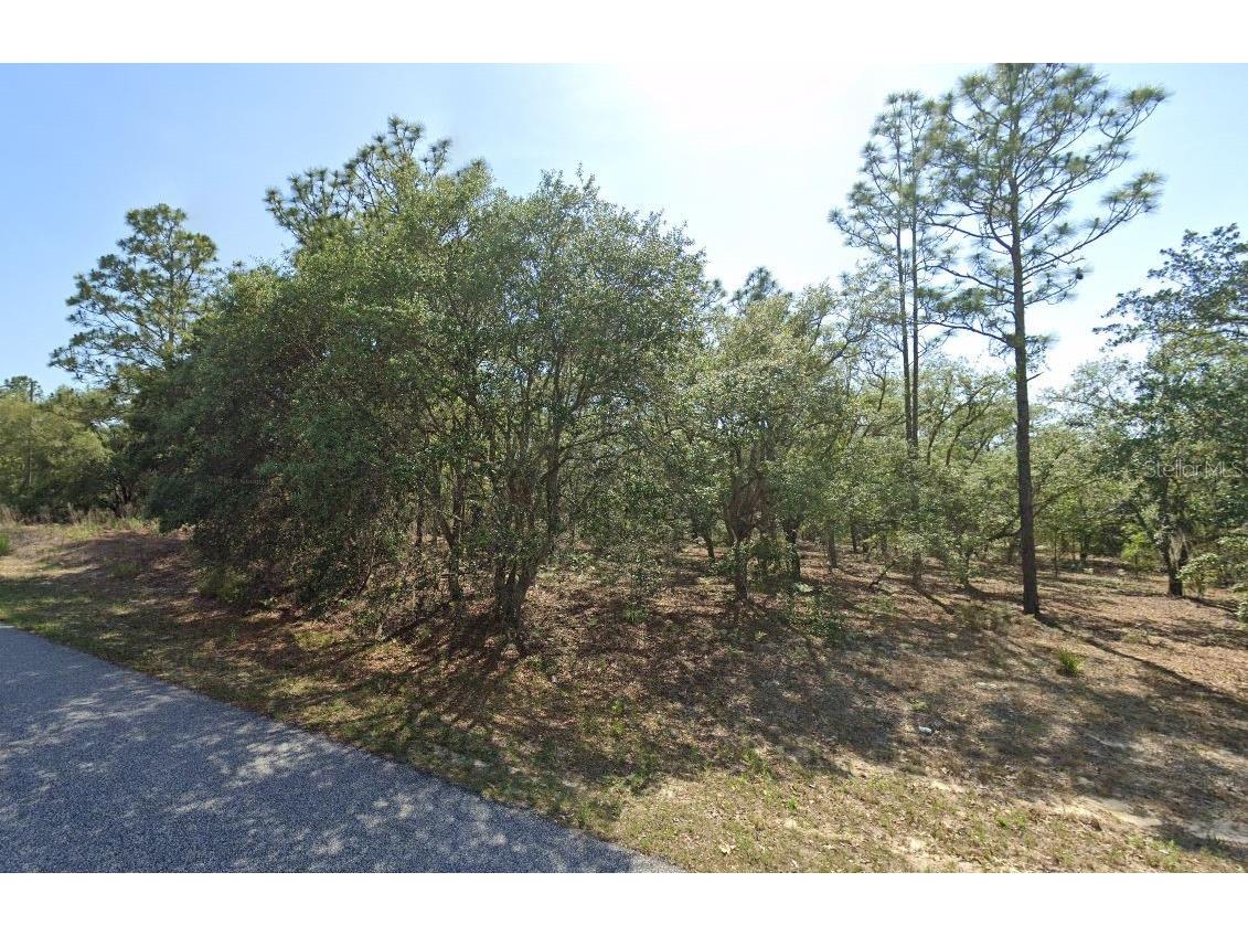 6004 N Darlington Drive Citrus Springs FL 34434 TB8469107 image1