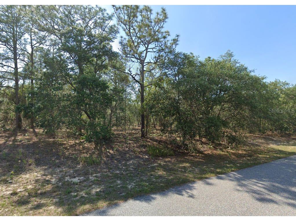 6004 N Darlington Drive Citrus Springs FL 34434 TB8469107 image2