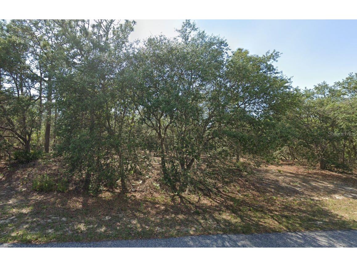 6004 N Darlington Drive Citrus Springs FL 34434 TB8469107 image3