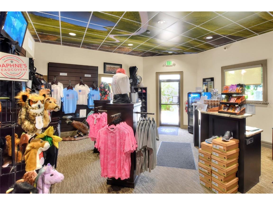 6004 Sanderling Drive Lakeland FL 33809 L4954816 image61