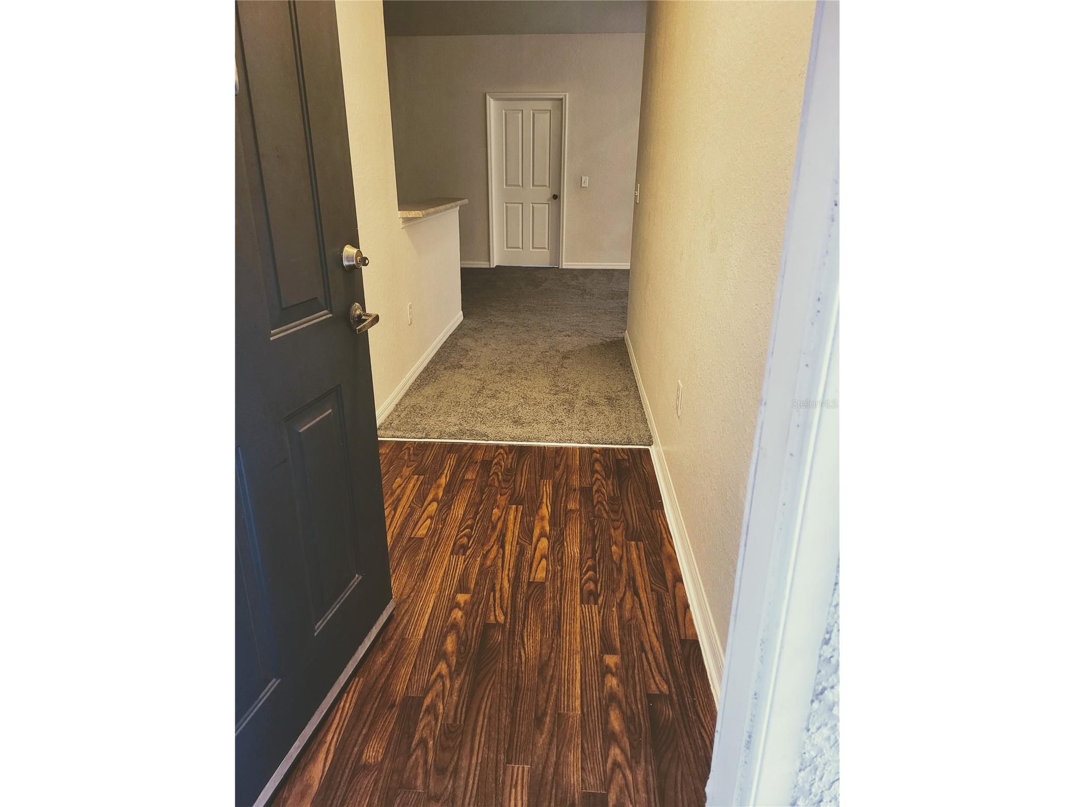 6005 Hemingway Circle #6005 Haines City FL 33844 S5139256 image4