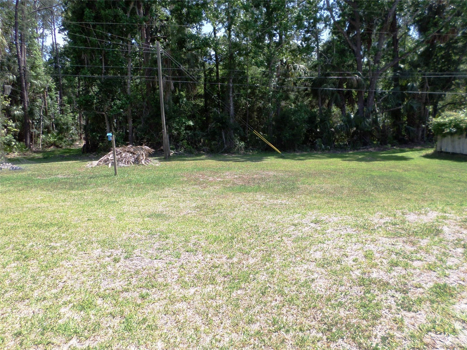 6005 Highway 40 W Yankeetown FL 34498 OM723937 image19