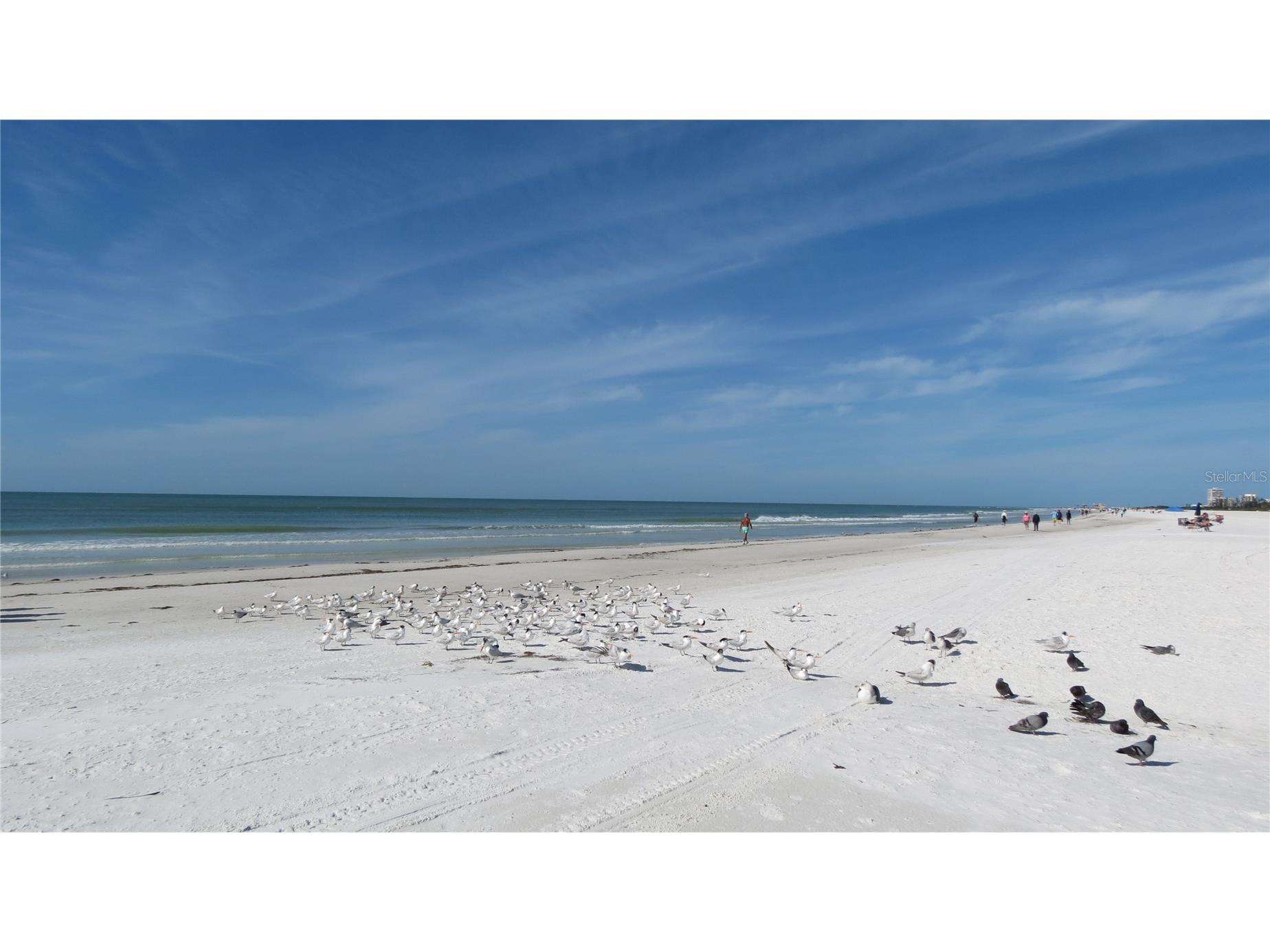 6005 Midnight Pass Road #N4 Sarasota FL 34242 A4677763 image52