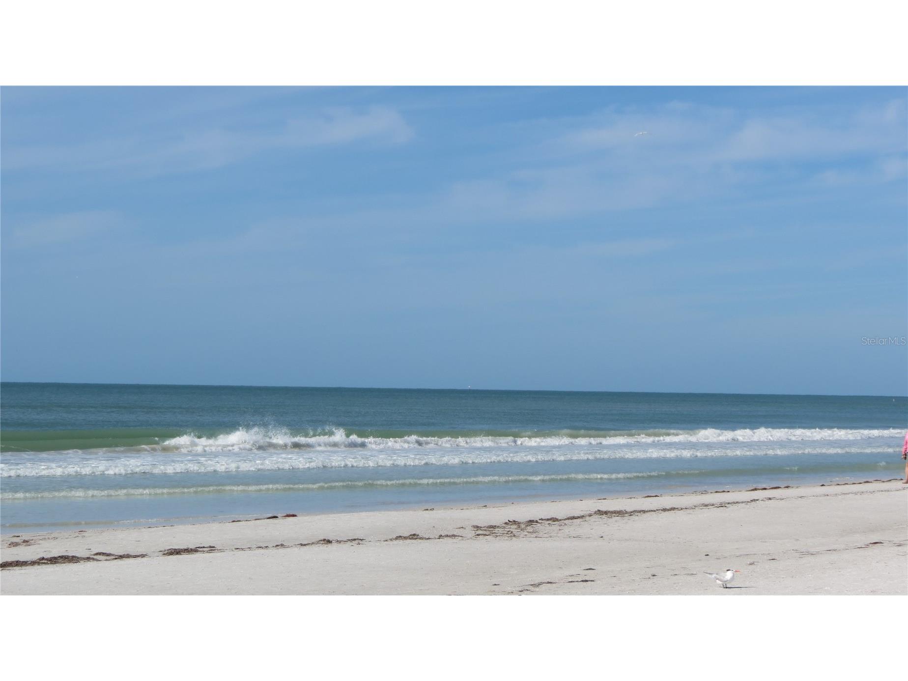 6005 Midnight Pass Road #N4 Sarasota FL 34242 A4677763 image53