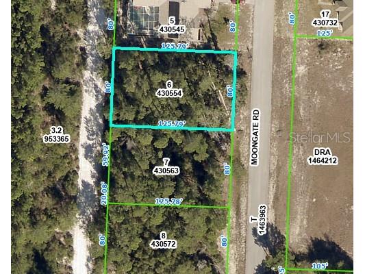 6005 Moongate Road Spring Hill FL 34606 T3487217 image1