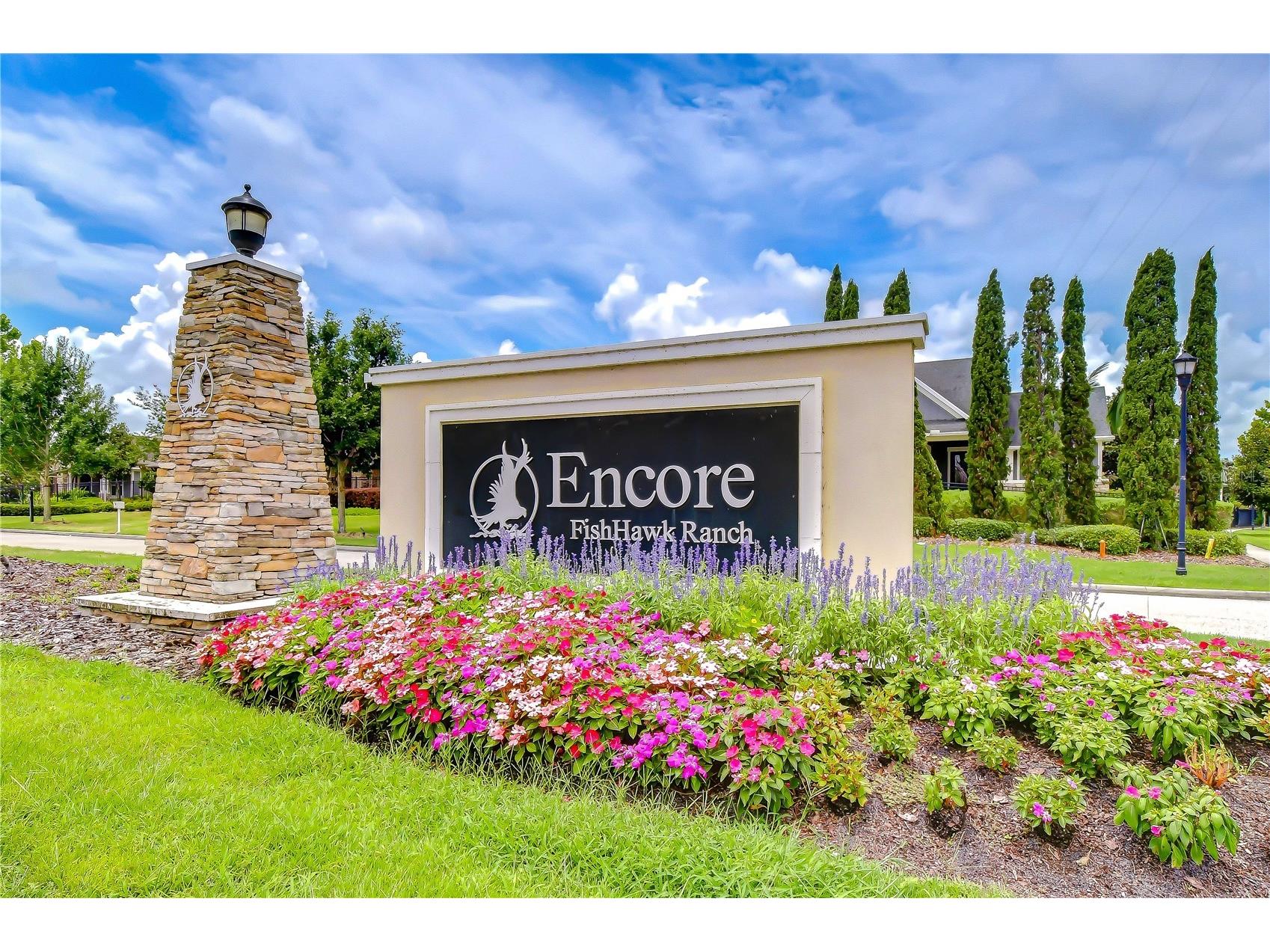 6005 Sparrowhead Way Lithia FL 33547 TB8513014 image34