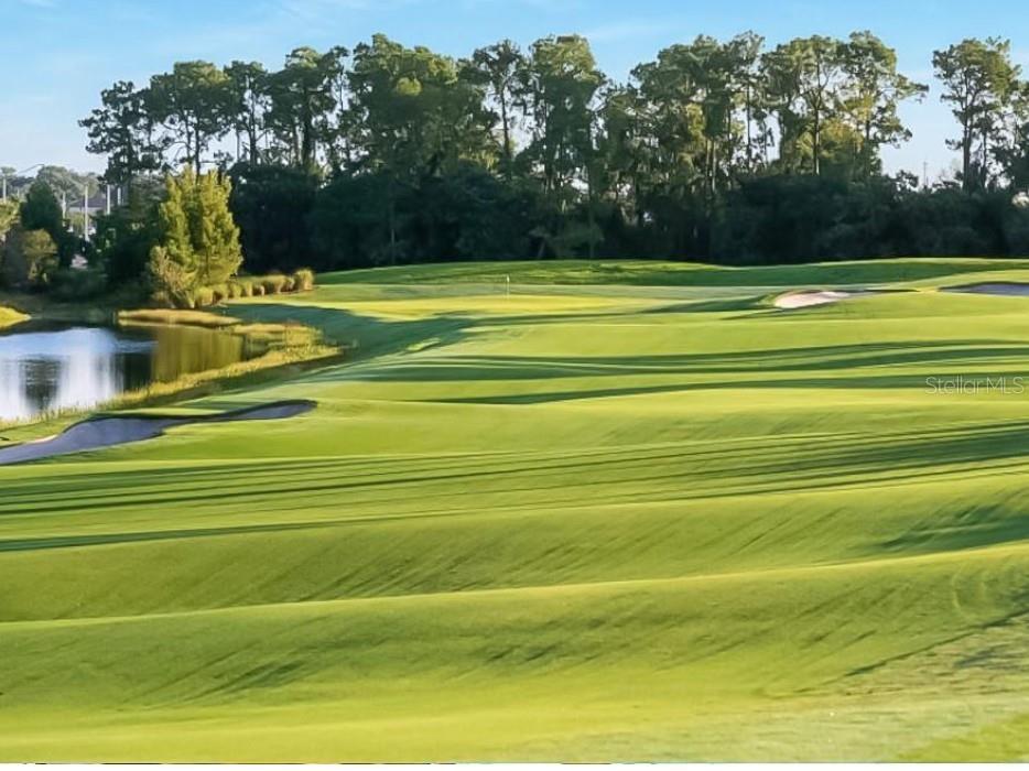 6005 Worsham Lane #103 Bradenton FL 34211 N6144441 image68