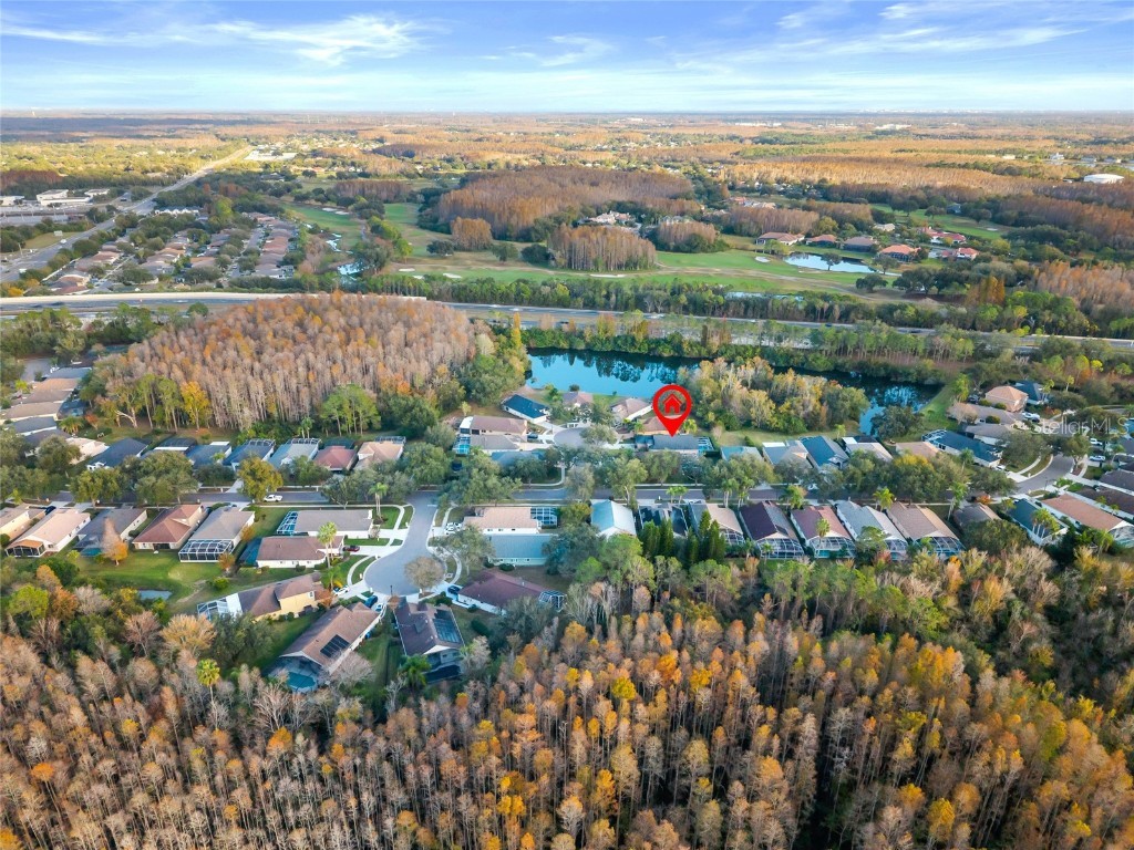 6006 Chellas Court Lutz FL 33558 TB8453329 image46