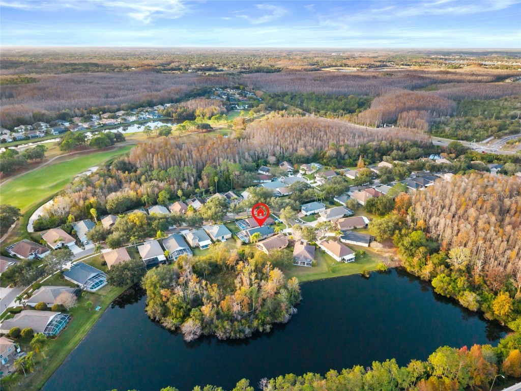 6006 Chellas Court Lutz FL 33558 TB8453329 image48