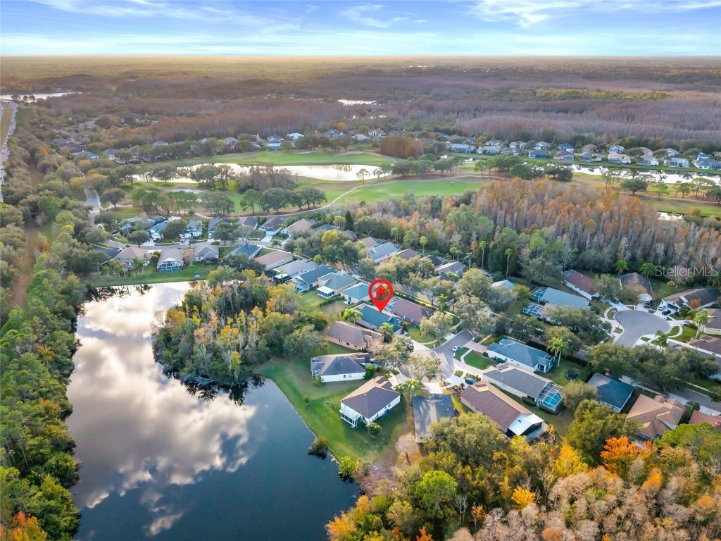 6006 Chellas Court Lutz FL 33558 TB8453329 image53