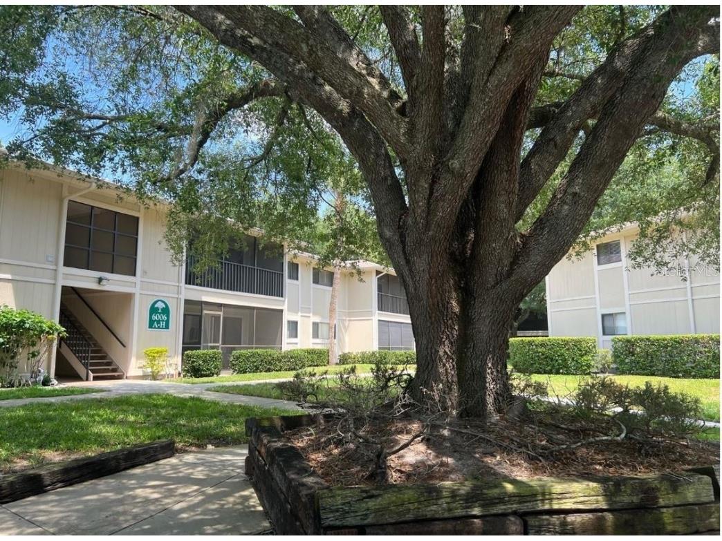 6006 Laketree Lane #C Temple Terrace FL 33617 T3496927 image1