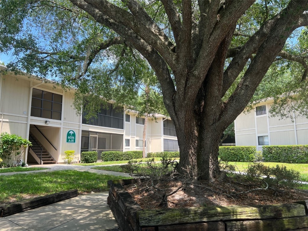 6006 Laketree Ln #UNIT D Temple Terrace FL 33617 T3468341 image1