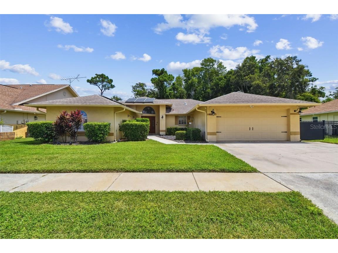 6006 Redhawk Dr New Port Richey FL 34655 TB8412738 image3