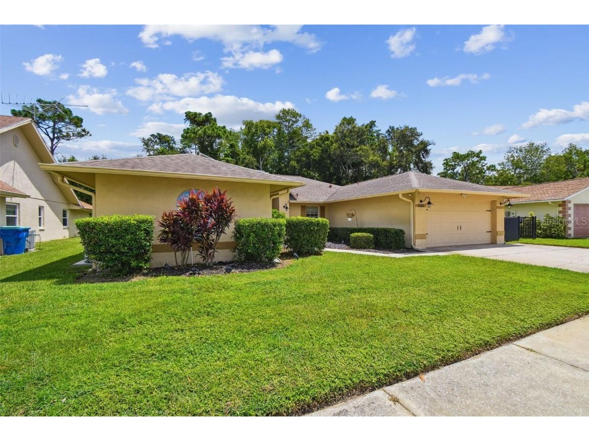6006 Redhawk Dr New Port Richey FL 34655 TB8412738 image4