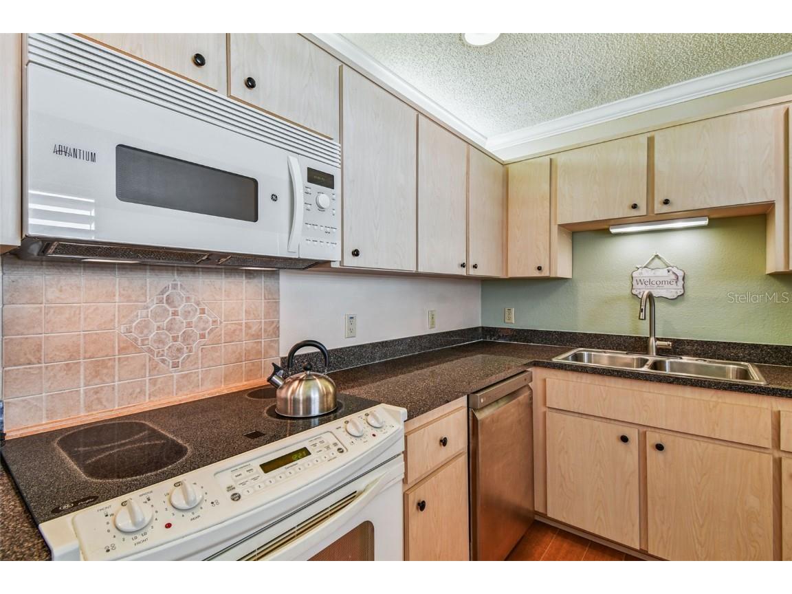 6006 Redhawk Dr New Port Richey FL 34655 TB8412738 image50