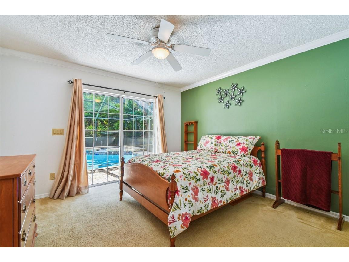 6006 Redhawk Dr New Port Richey FL 34655 TB8412738 image67