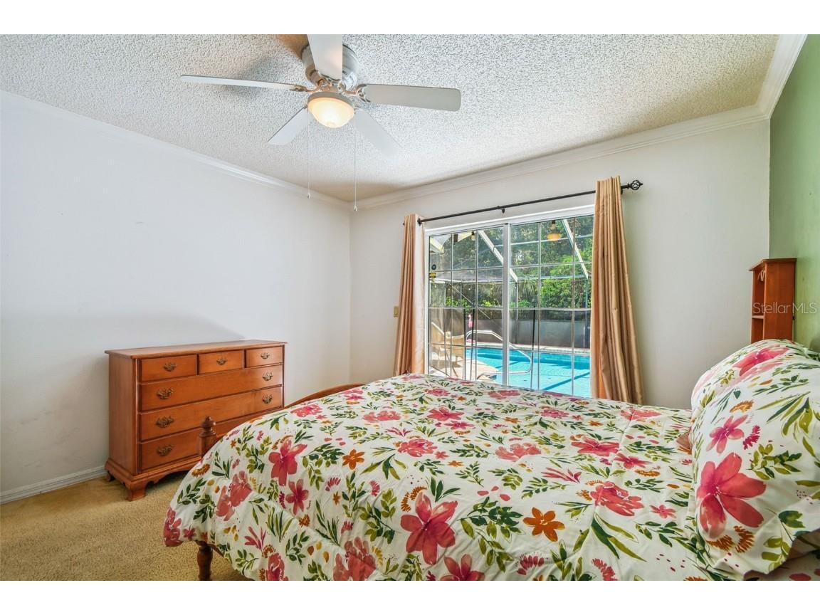 6006 Redhawk Dr New Port Richey FL 34655 TB8412738 image71