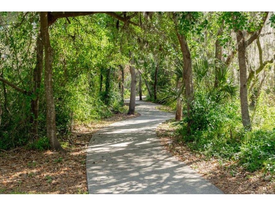 6006 Shearwater Lane Lithia FL 33547 TB8504273 image50