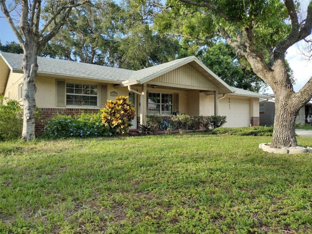 6007 Beechwood Drive New Port Richey FL 34653 U8207789 image1