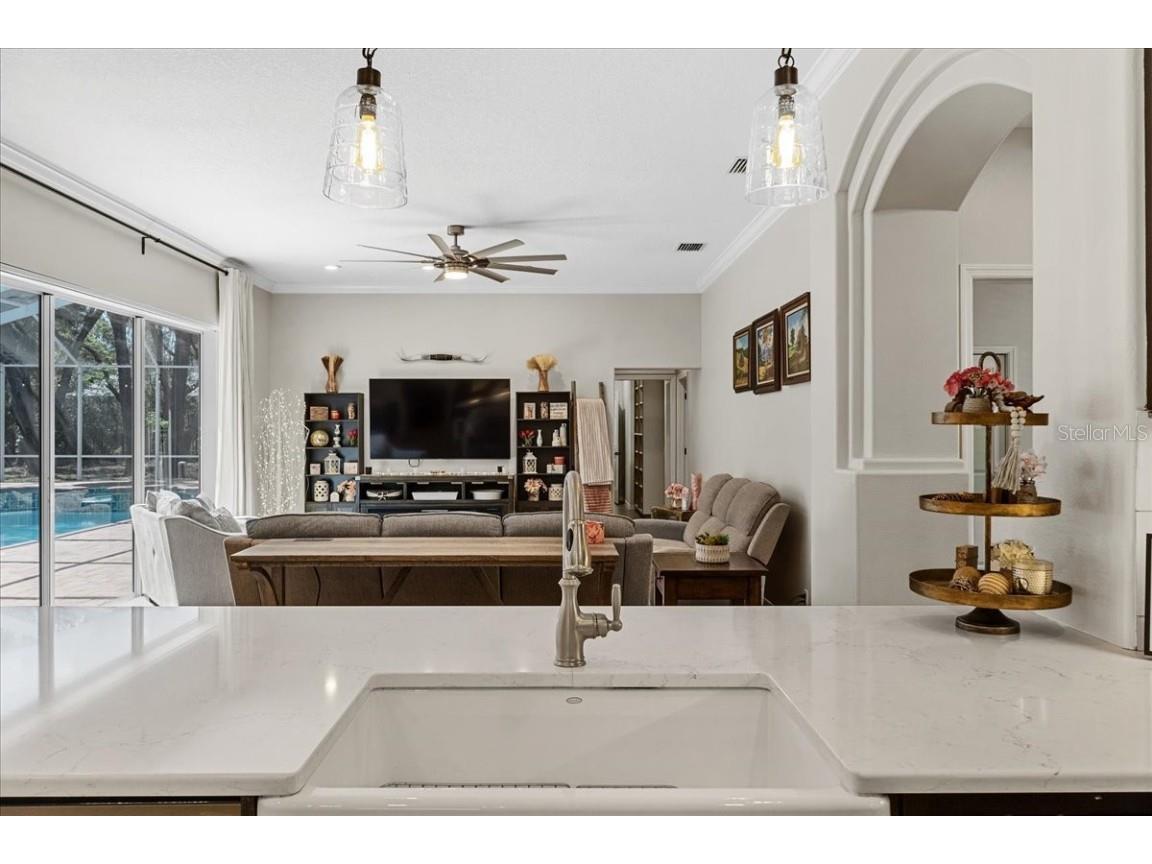 6007 Hammock Hill Avenue Lithia FL 33547 L4952495 image20