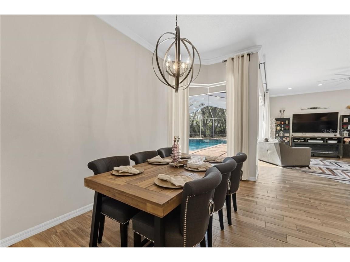 6007 Hammock Hill Avenue Lithia FL 33547 L4952495 image21