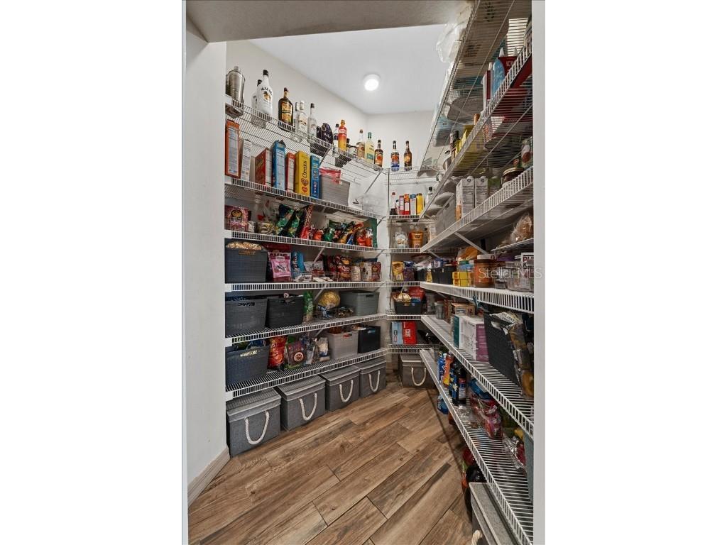 6007 Hammock Hill Avenue Lithia FL 33547 L4952495 image25