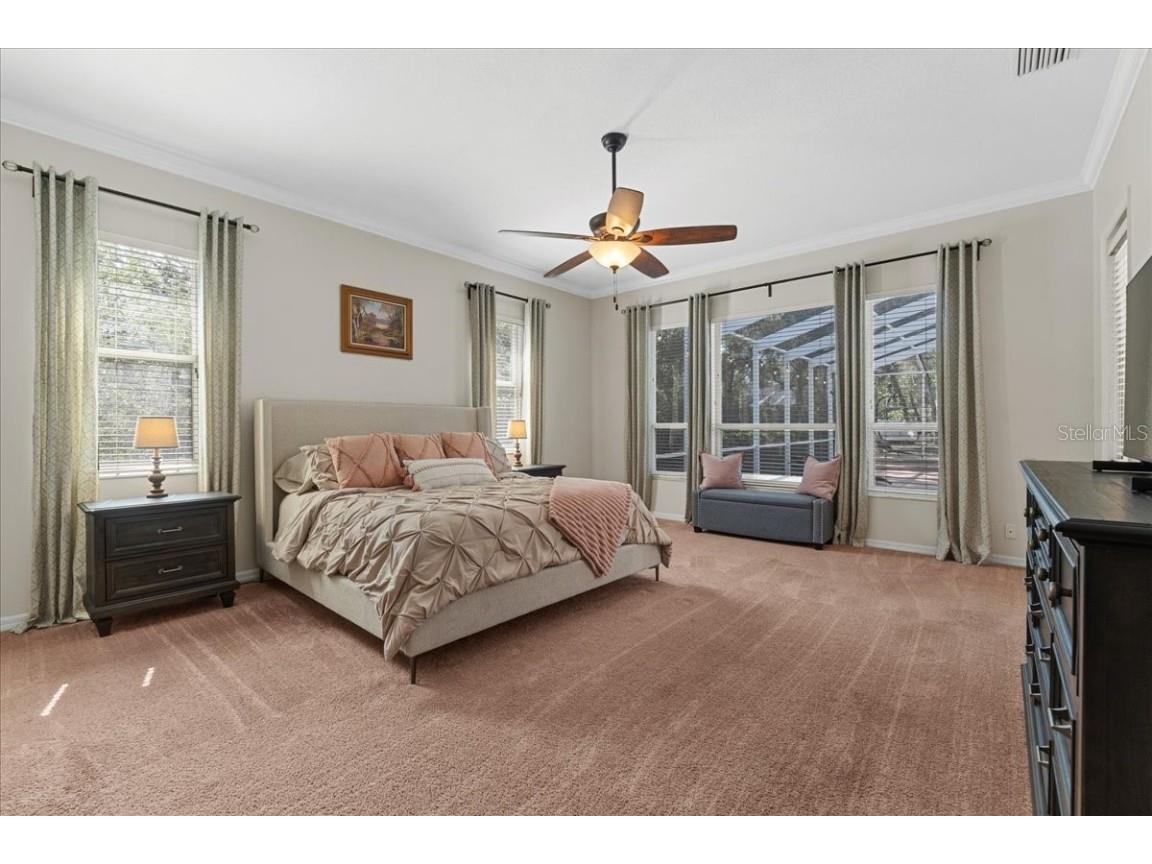 6007 Hammock Hill Avenue Lithia FL 33547 L4952495 image29