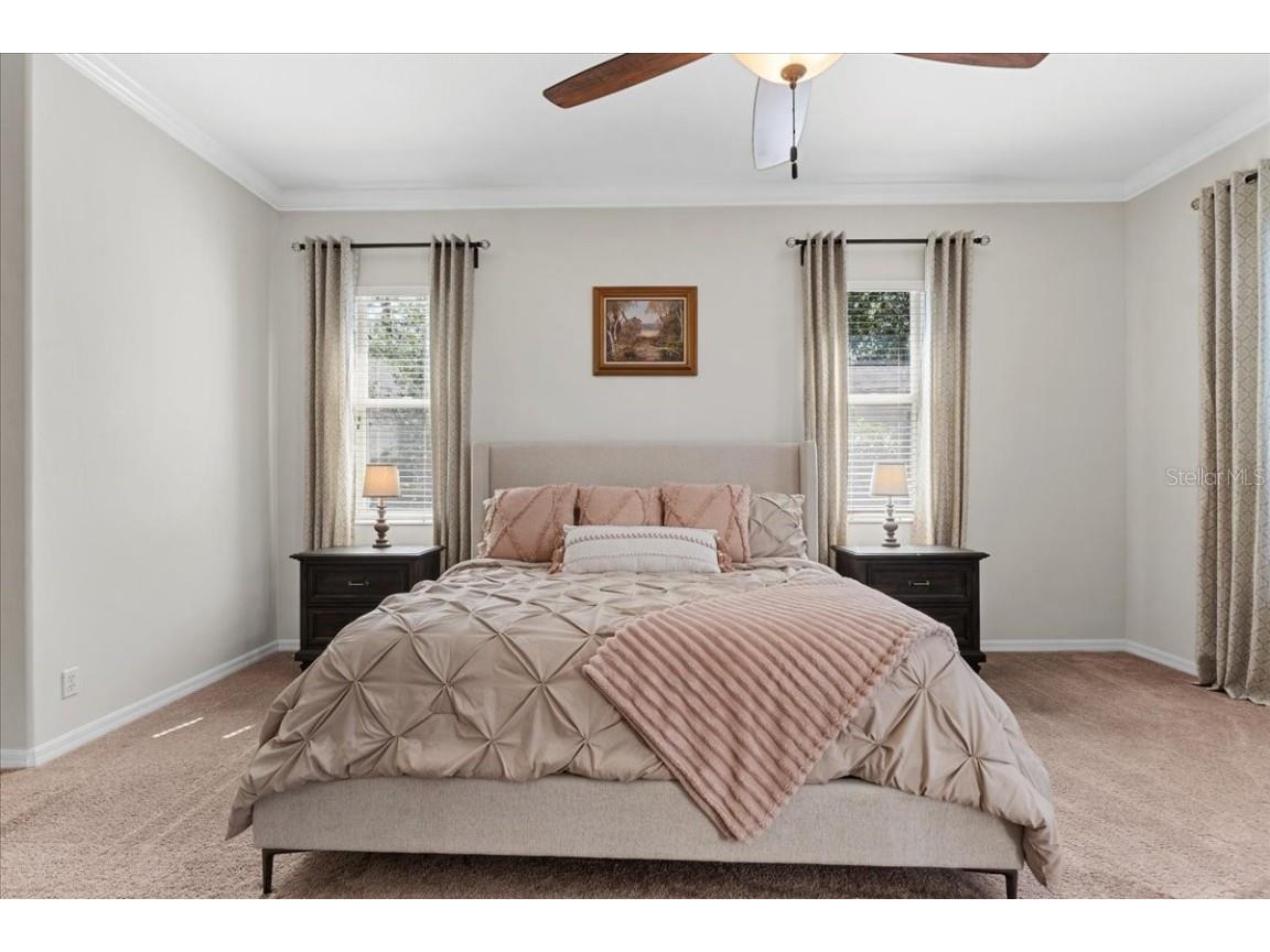 6007 Hammock Hill Avenue Lithia FL 33547 L4952495 image32