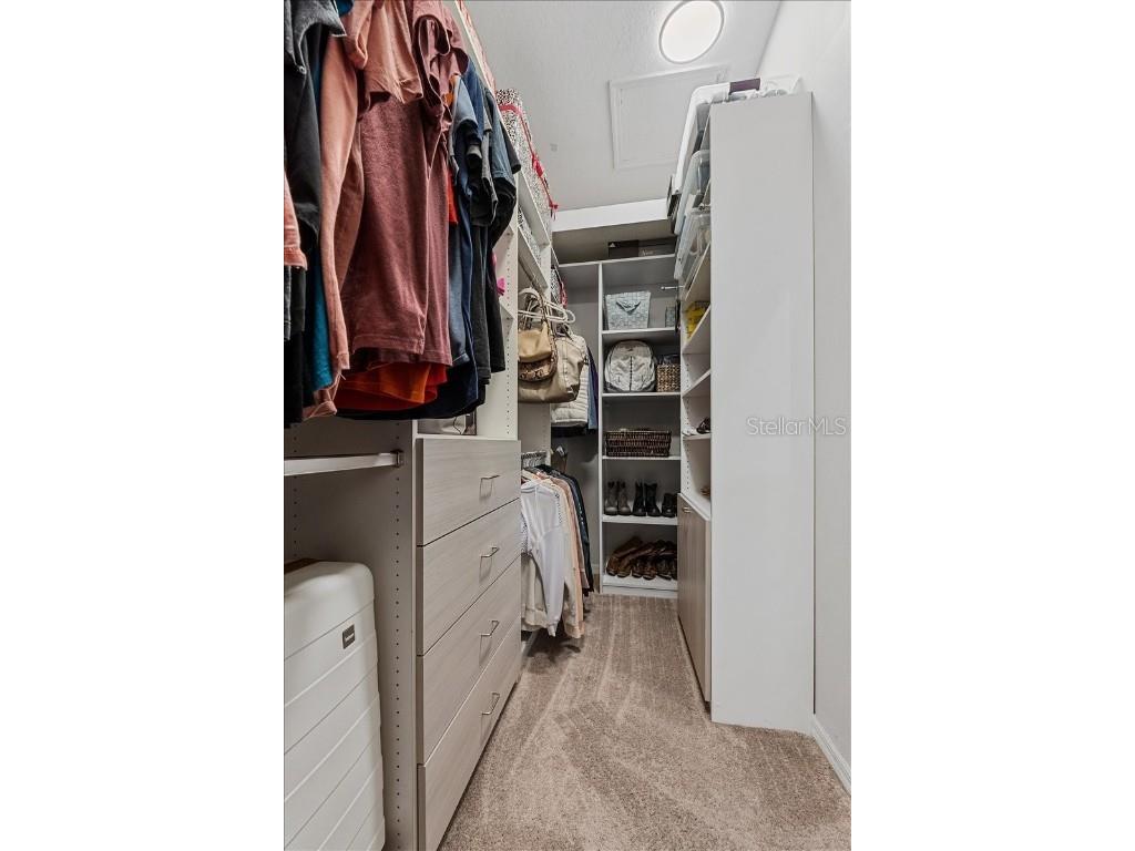 6007 Hammock Hill Avenue Lithia FL 33547 L4952495 image40