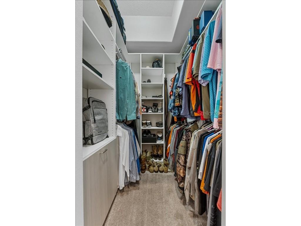 6007 Hammock Hill Avenue Lithia FL 33547 L4952495 image41