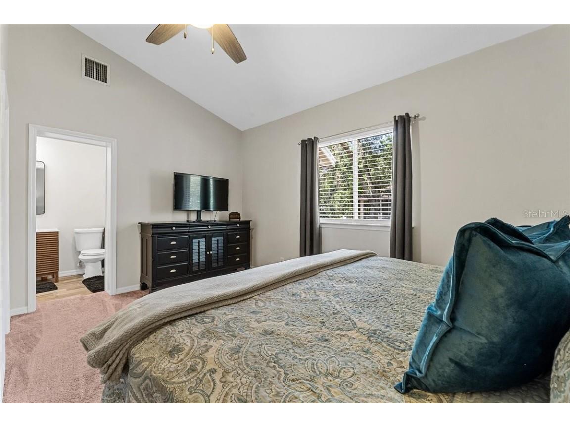 6007 Hammock Hill Avenue Lithia FL 33547 L4952495 image52