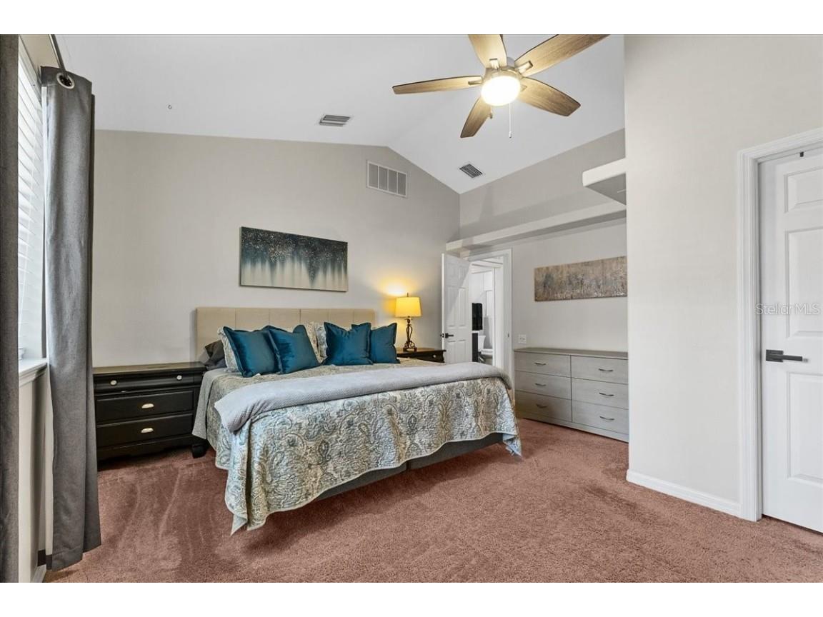 6007 Hammock Hill Avenue Lithia FL 33547 L4952495 image53