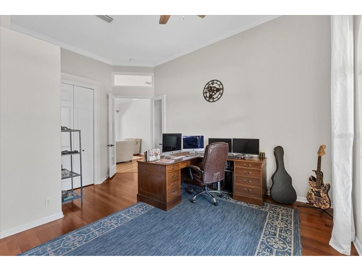 6007 Hammock Hill Avenue Lithia FL 33547 L4952495 image66