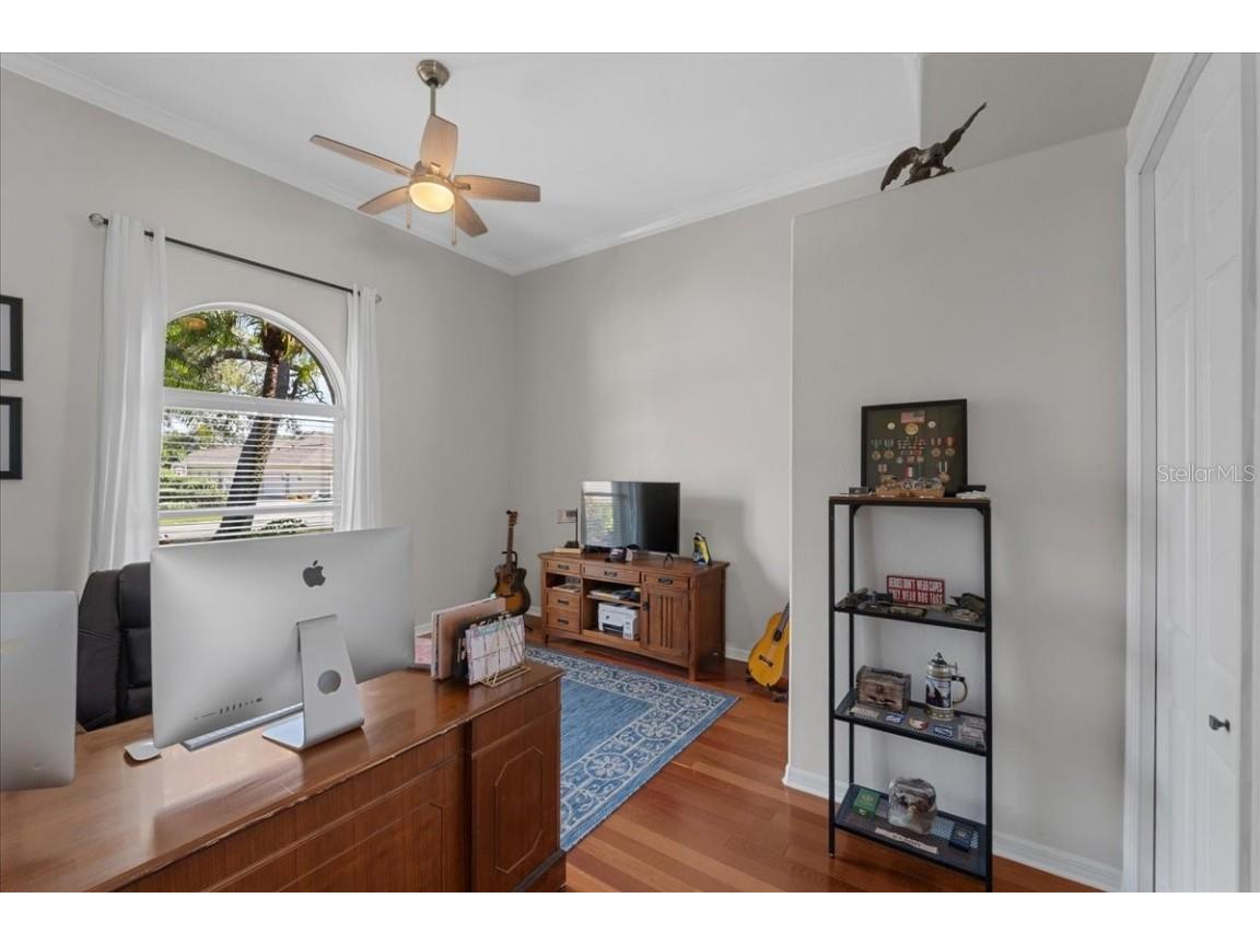 6007 Hammock Hill Avenue Lithia FL 33547 L4952495 image67