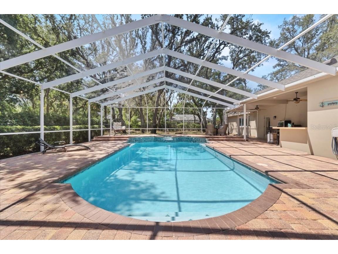 6007 Hammock Hill Avenue Lithia FL 33547 L4952495 image70