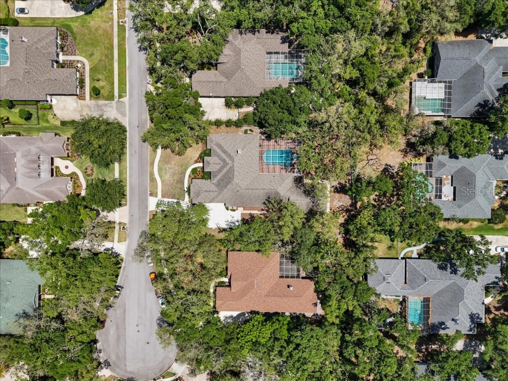 6007 Hammock Hill Avenue Lithia FL 33547 L4952495 image76