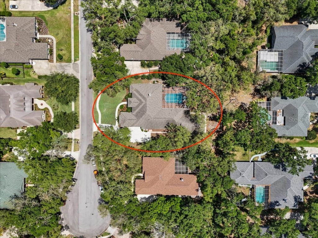 6007 Hammock Hill Avenue Lithia FL 33547 L4952495 image81