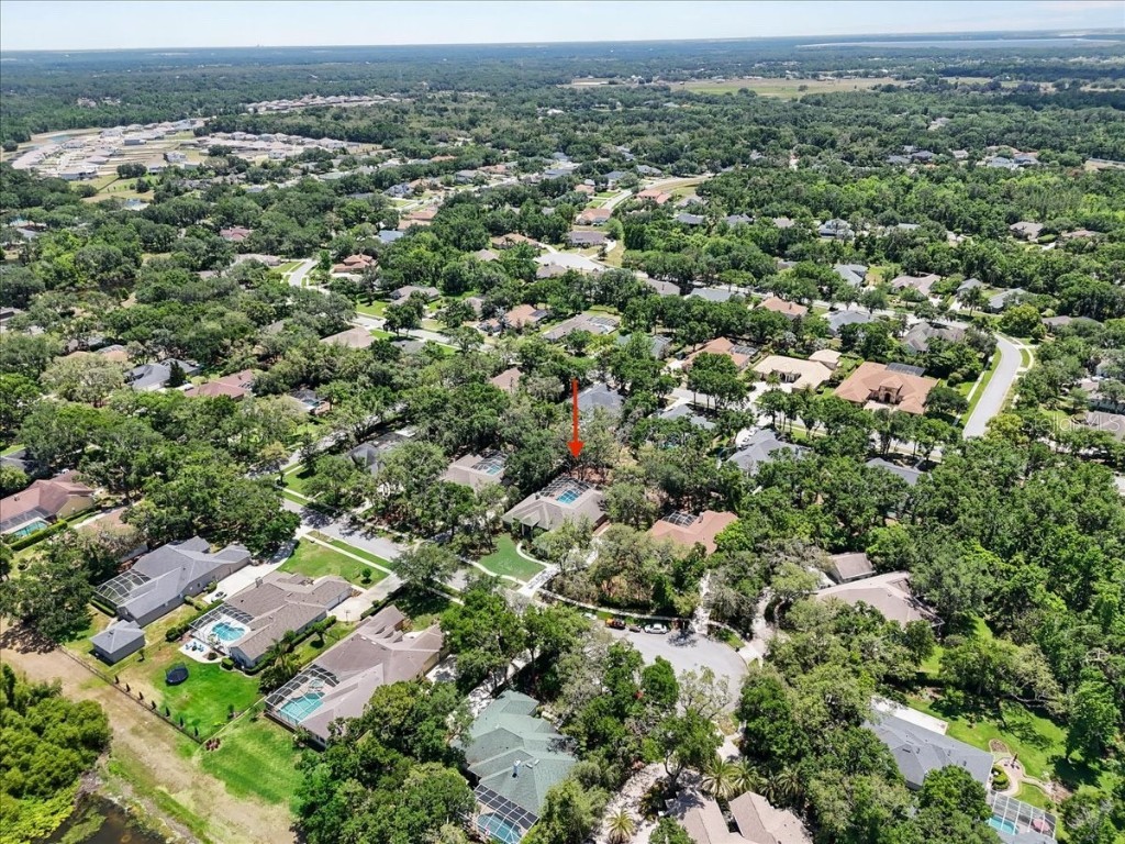 6007 Hammock Hill Avenue Lithia FL 33547 L4952495 image82