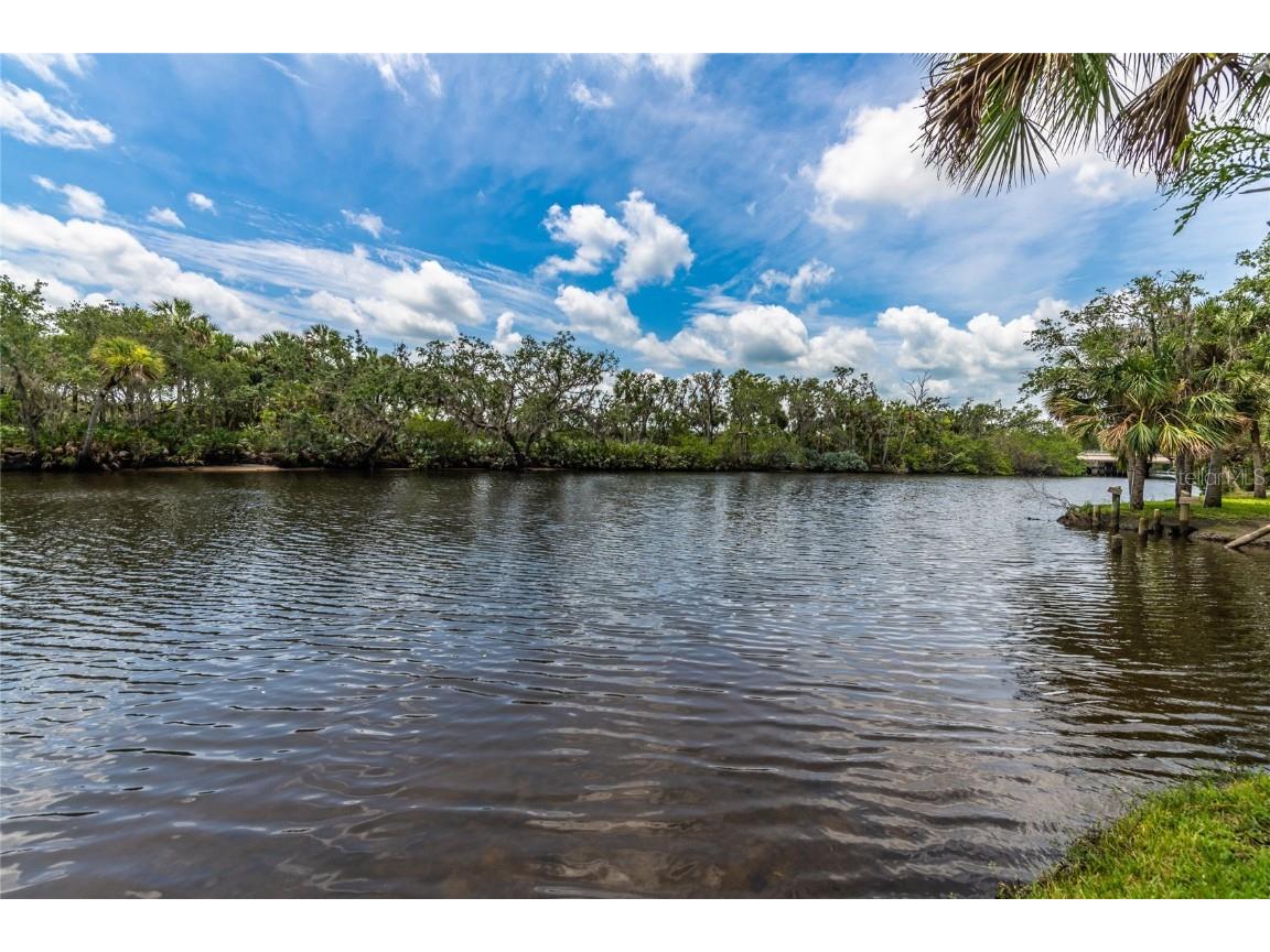 6007 S Williamson Boulevard Port Orange FL 32128 V4930580 image1