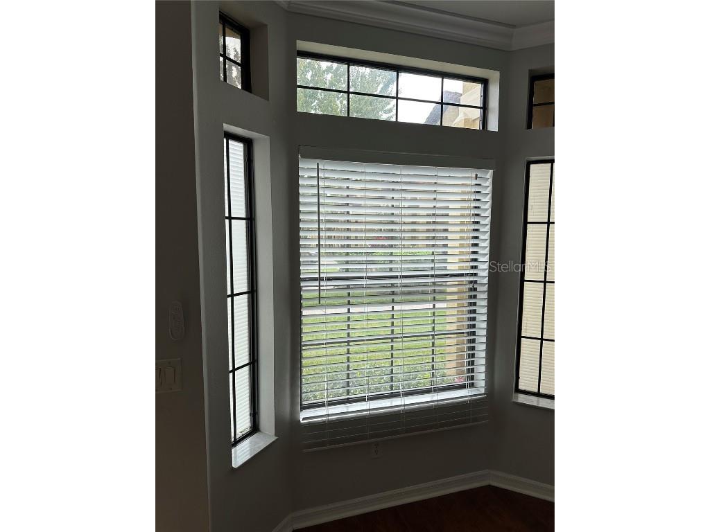 6007 Scotchwood Glen #35 Orlando FL 32822 - LAKE FREDERICA O6351830 image5