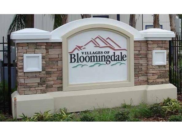 6007 Skydale Way #202 Riverview FL 33578 TB8497593 image38