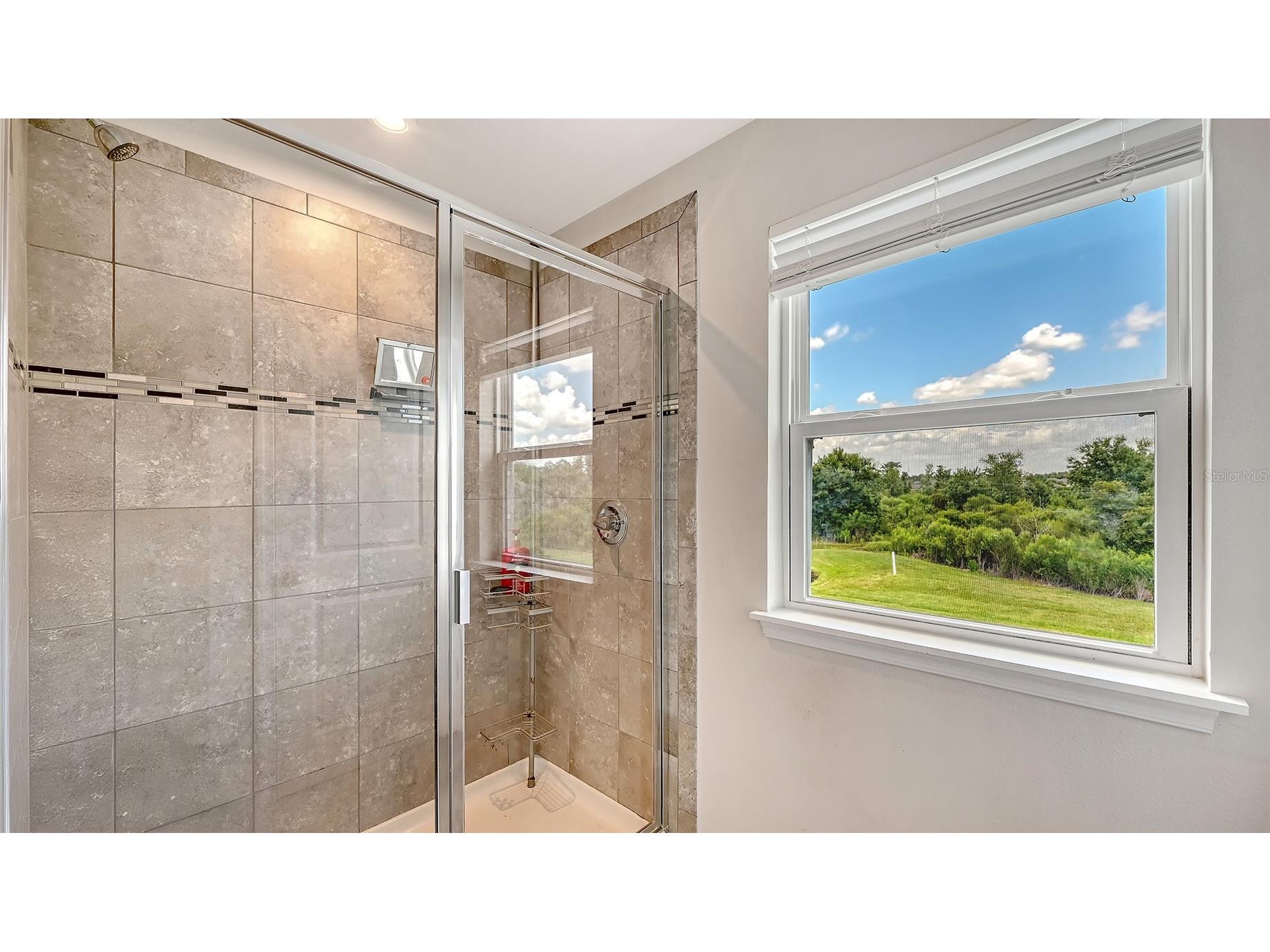 6008 113th Terrace E Parrish FL 34219 A4697801 image27